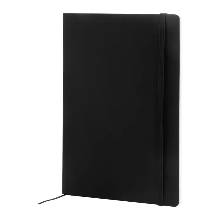 RPU notebook - AP808172 (ANDA#10)